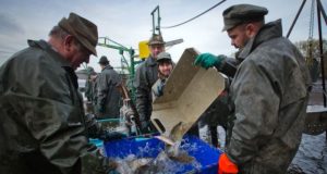 Ловля рыбы в Чехии